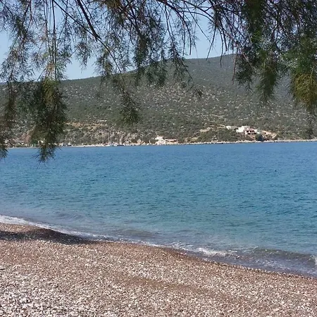 View Holiday home *